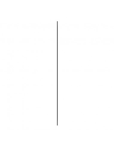 Specchio da Parete 30x100 cm Vetro Rettangolare