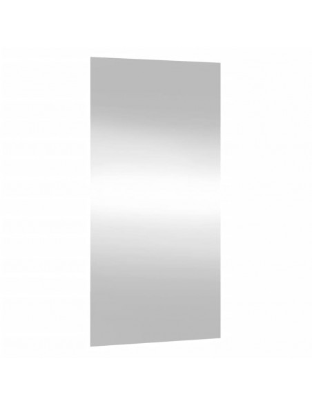 Specchio da Parete 40x80 cm Vetro Rettangolare