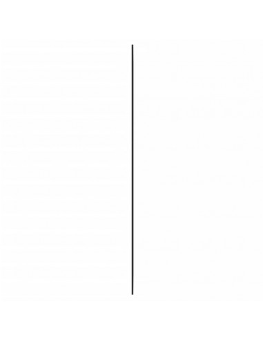 Specchio da Parete 40x80 cm Vetro Rettangolare