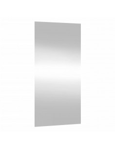 Specchio da Parete 30x60 cm Vetro Rettangolare 2