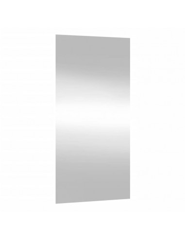 Specchio da Parete 30x60 cm Vetro Rettangolare