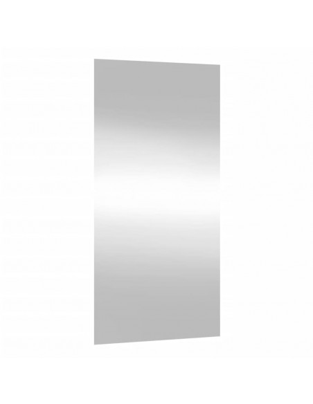 Specchio da Parete 30x60 cm Vetro Rettangolare