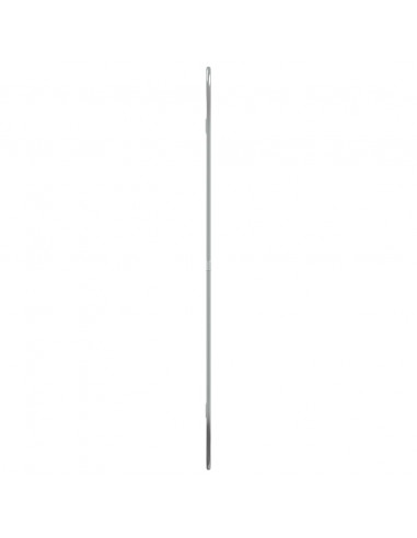 Specchio da Parete Argento 70x45 cm