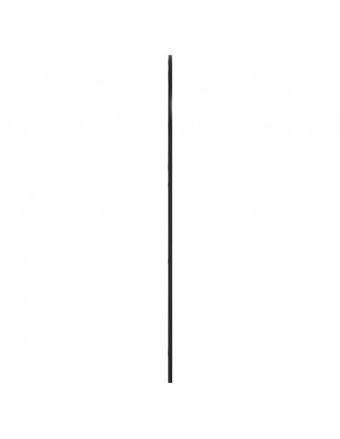 Specchio da Parete Nero 80x120 cm Arco in Ferro