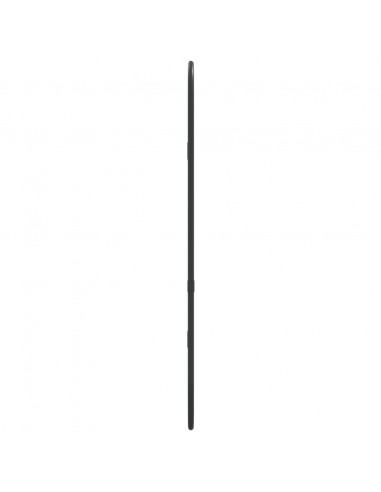 Specchio da Parete Nero 50x20 cm Ovale