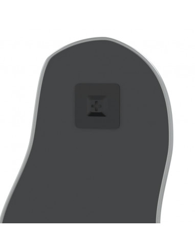 Specchio da Parete Argento 60x25 cm