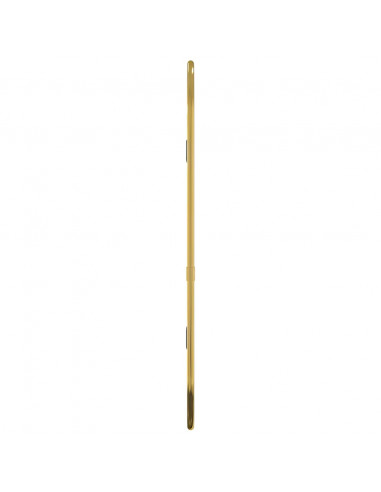 Specchio da Parete Dorato 40x15 cm Ovale