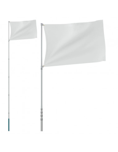 Asta Telescopica per Bandiere Argento 5,55 m in Alluminio