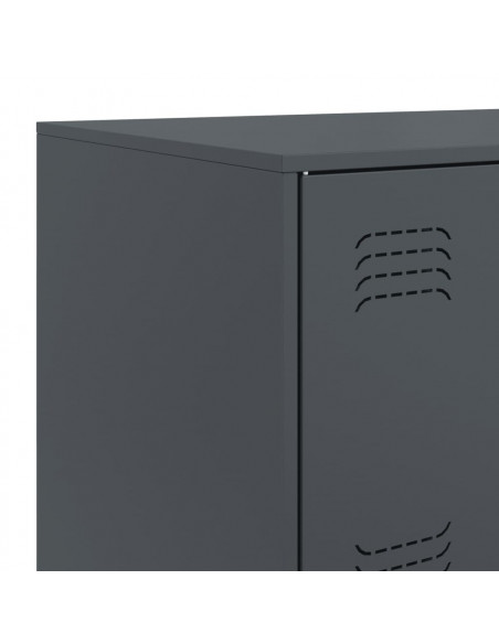 Credenza Antracite 67x39x107 cm in Acciaio