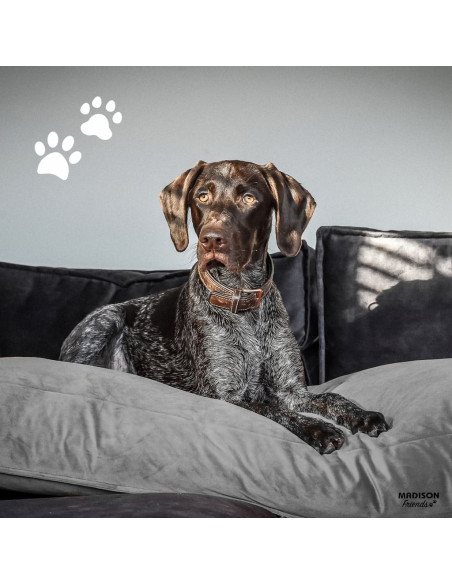Madison Cuscino per Cani Velvet 120x90x15 cm Grigio