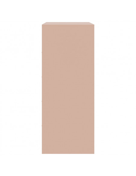 Credenza Rosa 67x39x95 cm in Acciaio