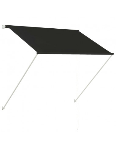 Tenda da Sole Retrattile 100x150 cm Antracite