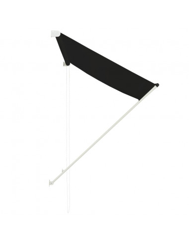 Tenda da Sole Retrattile 100x150 cm Antracite