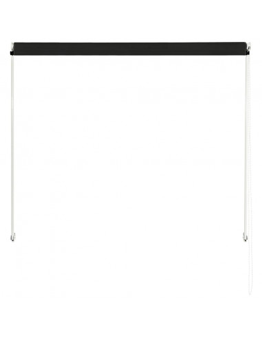 Tenda da Sole Retrattile 100x150 cm Antracite