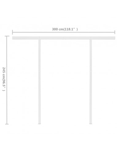 Tenda da Sole Retrattile Manuale con Pali 3x2,5 m Blu e Bianca
