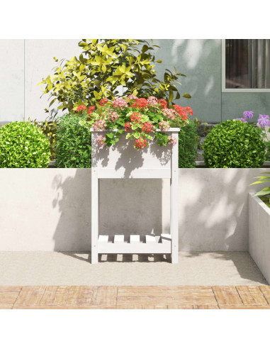 Fioriera con Mensola Bianca 54x34,5x81cm Legno Massello di Pino