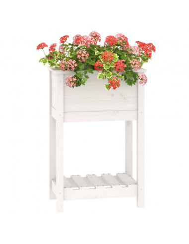 Fioriera con Mensola Bianca 54x34,5x81cm Legno Massello di Pino