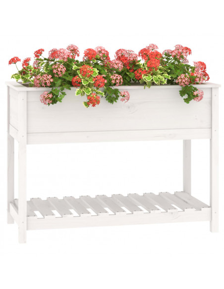 Fioriera con Mensola Bianca 111,5x54x81 cm Legno Massello Pino