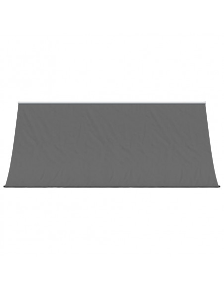 Tenda da Sole Retrattile Antracite 300x150 cm Tessuto e Acciaio
