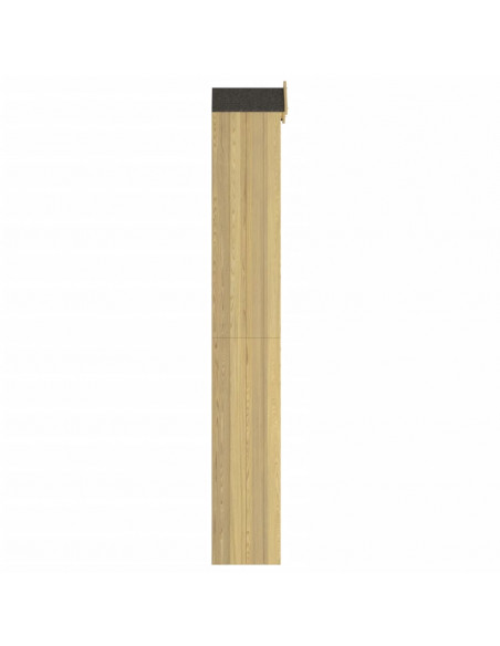 Capanno per Attrezzi da Giardino 40x33x222cm in Pino Impregnato