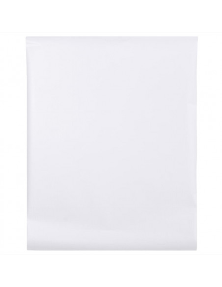 Pellicola per Finestra Smerigliata Trasparente 60x2000 cm PVC