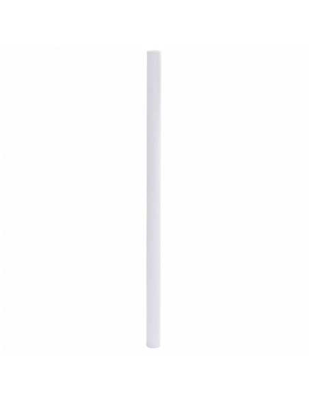 Pellicola per finestre Bianco satinato 90x500 cm PVC