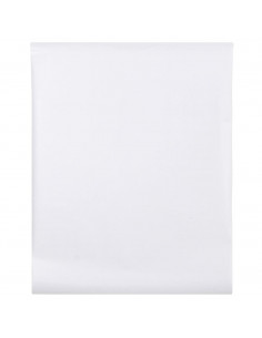 Pellicola per Finestra Smerigliata Bianca 45x2000 cm PVC 2