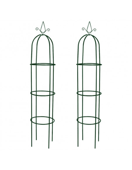 Set Torri ad Arco 2 pz per Piante Rampicanti da Giardino