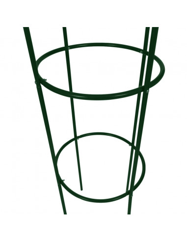 Set Torri ad Arco 2 pz per Piante Rampicanti da Giardino