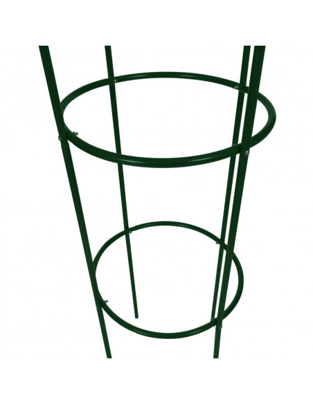 Set Torri ad Arco 2 pz per Piante Rampicanti da Giardino