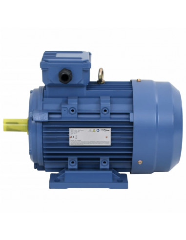 Motore Elettrico Trifase in Alluminio 3kW/4HP 2 Poli 2840 RPM