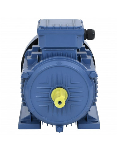 Motore Elettrico Trifase in Alluminio 3kW/4HP 2 Poli 2840 RPM