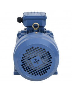 Motore Elettrico Trifase in Alluminio 4kW/5,5HP 2 Poli 2840 RPM 2