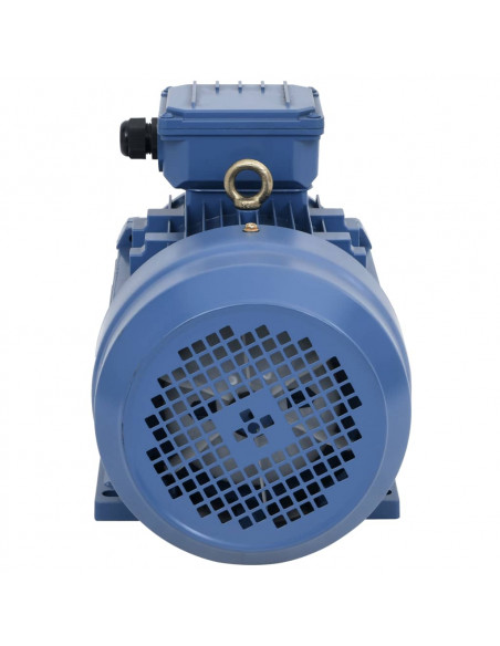 Motore Elettrico Trifase in Alluminio 4kW/5,5HP 2 Poli 2840 RPM