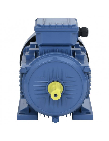 Motore Elettrico Trifase in Alluminio 4kW/5,5HP 2 Poli 2840 RPM
