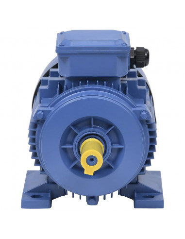 Motore Elettrico Trifase in Alluminio 2,2kW/3HP 2 Poli 2840 RPM