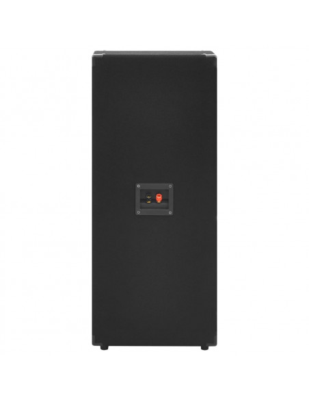 Altoparlanti Professionali Passivi da Palco Hi-Fi 2 pz 1000 W
