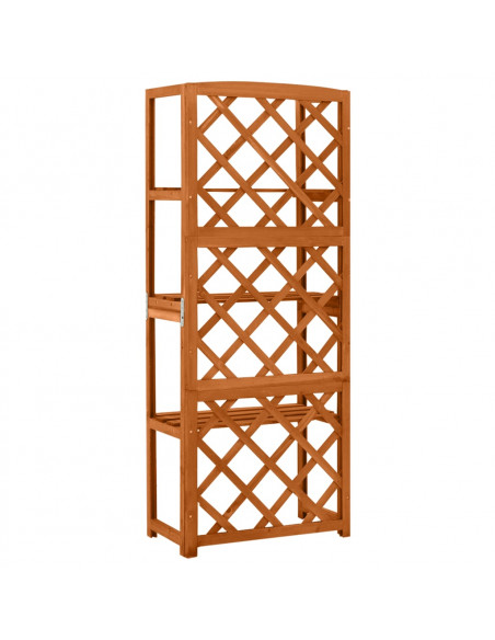 Traliccio con Ripiani 55x30x140 cm in Legno Massello di Abete