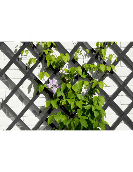 Nature Traliccio da Giardino 50x150 cm in PVC Antracite