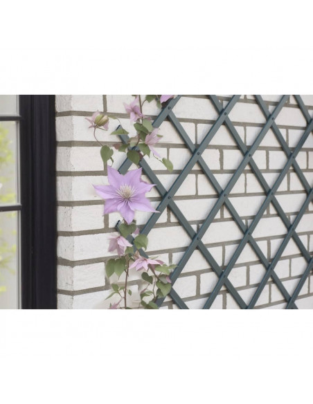 Nature Traliccio da Giardino 50x150 cm in PVC Antracite