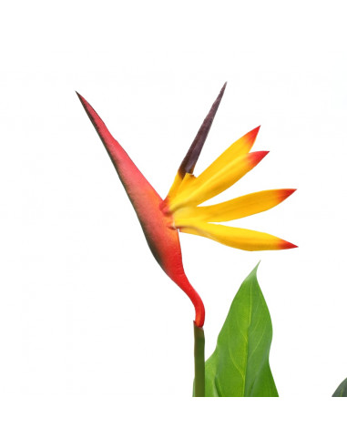 Pianta Artificiale Strelitzia Regina Uccello del Paradiso 66 cm