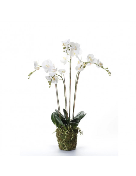 Emerald Orchidea Artificiale con Muschio Bianca 90 cm 20.355