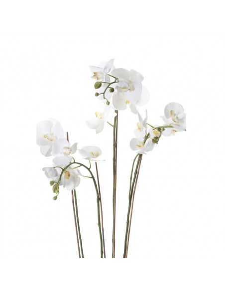 Emerald Orchidea Artificiale con Muschio Bianca 90 cm 20.355