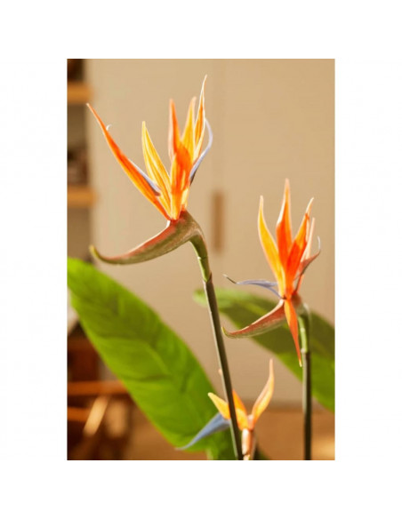 Emerald Strelitzia Pianta Artificiale in Vaso con Fiori 120 cm