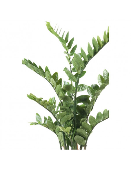 Emerald Zamioculcas Artificiale Verde 110 cm 11.662C