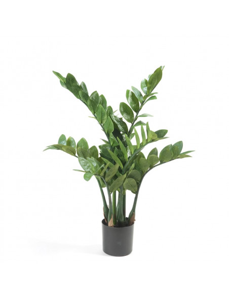 Emerald Zamioculcas Artificiale 70 cm