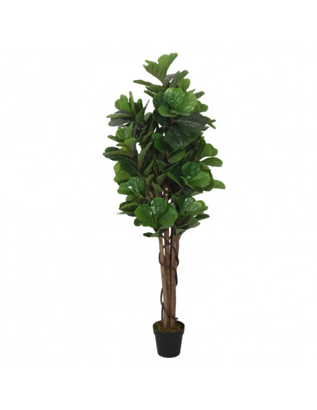 Albero Ficus Lyrata 180 Foglie 150 cm Verde