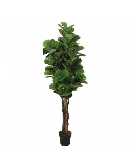 Albero Ficus Lyrata 96 Foglie 80 cm Verde