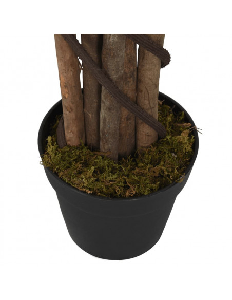 Albero Ficus Lyrata 96 Foglie 80 cm Verde
