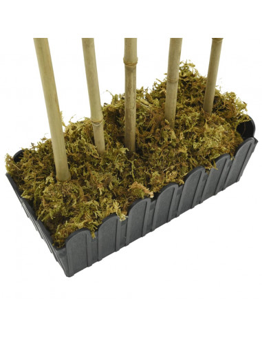 Albero Bambù Artificiale 730 Foglie 120 cm Verde